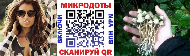 Псилоцибиновые грибы прущие грибы  Сусуман 