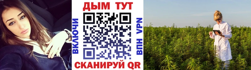 Бошки марихуана гибрид Сусуман