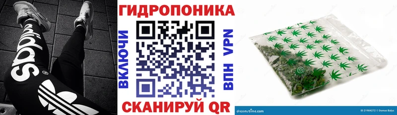 Канабис сатива  где найти наркотики  Сусуман 